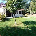 Les Pruniers De La Cipiere