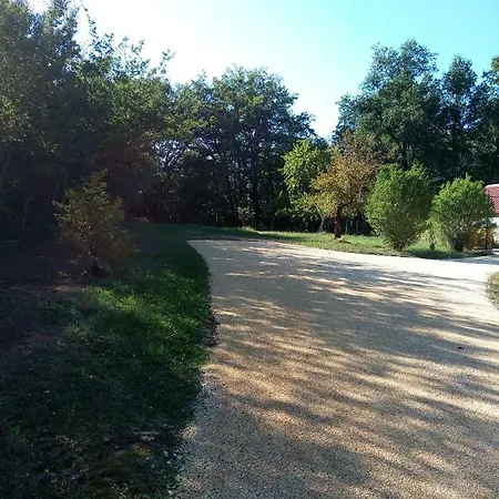 Les Pruniers De La Cipiere