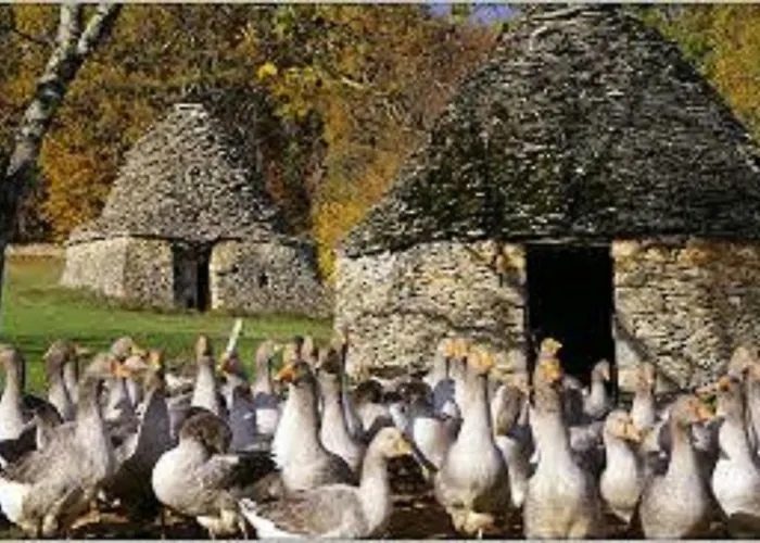 Les Pruniers De La Cipière Peyzac-le-Moustier