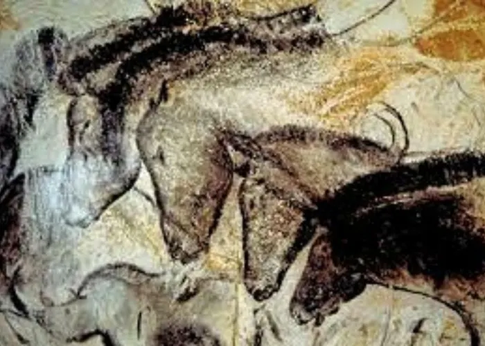 Casa vacanze Les Pruniers De La Cipière *