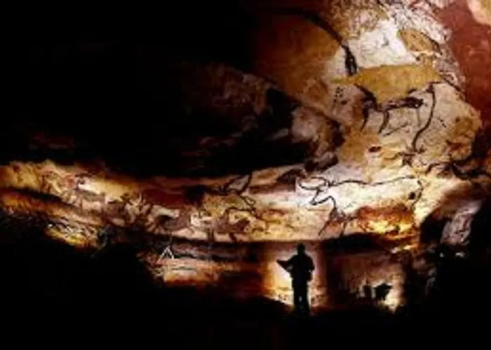 Les Pruniers De La Cipière *