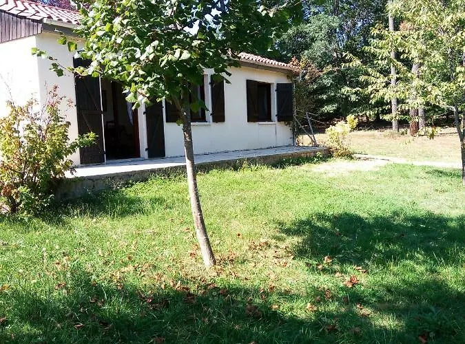 Les Pruniers De La Cipière