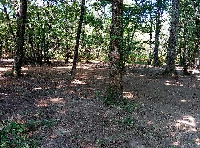 Les Pruniers De La Cipiere Σπίτι διακοπών *